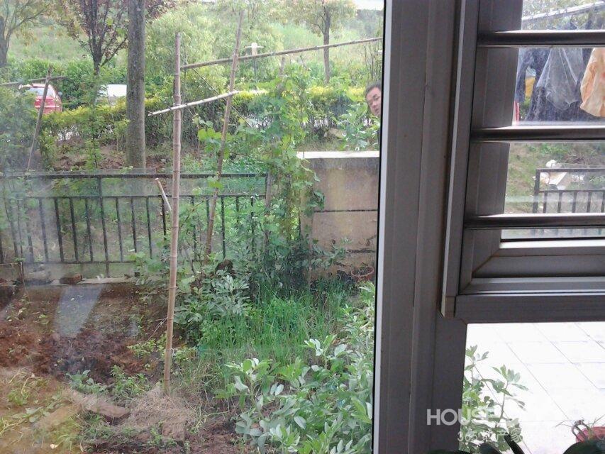 图/带院子的平房设计图/五间平房带小院外观图/平房院子装修效果图