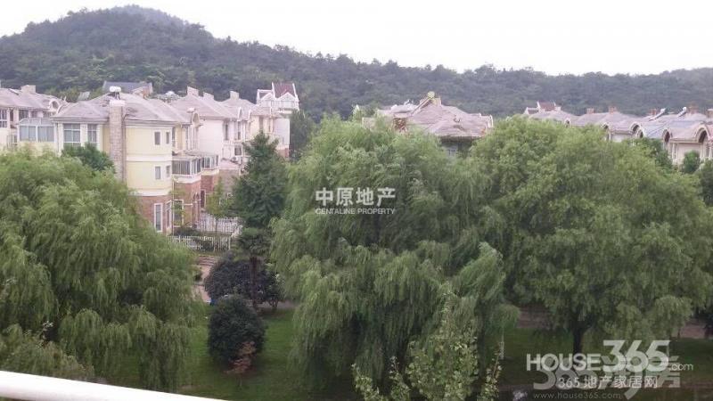 【瑞景临湖双拼大别墅院子文华视野开阔豪华别墅游戏海上第二季图片