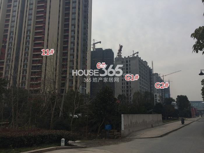 保亿风景晨园G1、G2、6、11号楼施工进程图（2015.2）