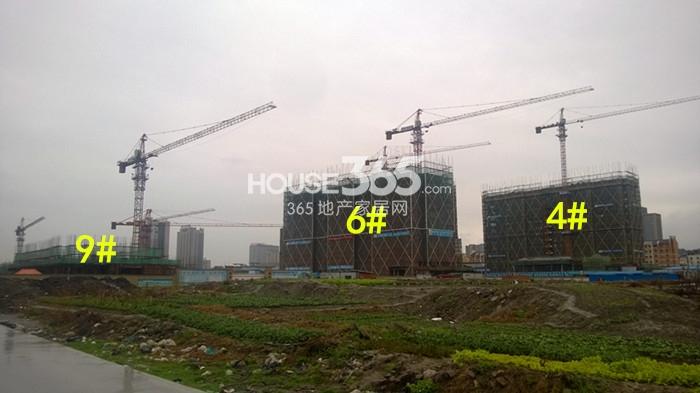 绿城九龙仓钱塘明月4、6、9号楼施工实景图 2015年2月摄