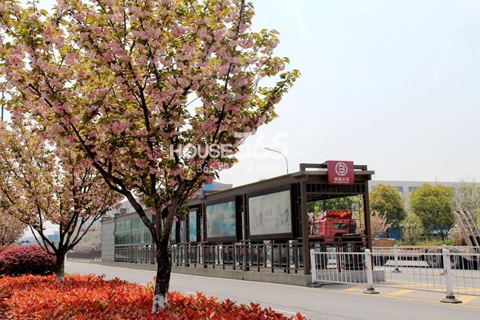 龙湖名景台周边公交站——同协路杭玻路街口 2015年4月摄 