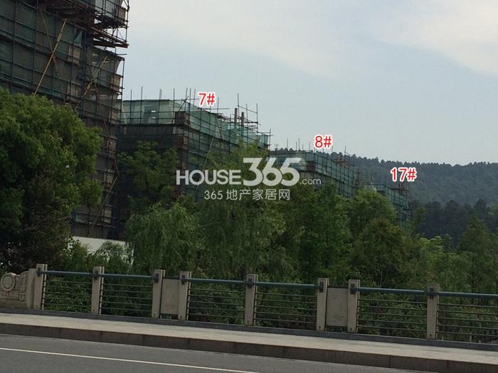凯文杭庄7、8、17号楼施工进程图（2015.5）