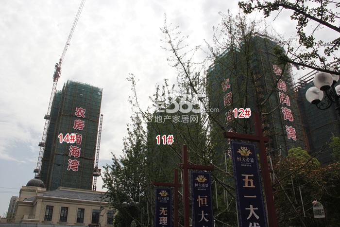 农房尚海湾14、12、11号楼实景图 2015年5月摄