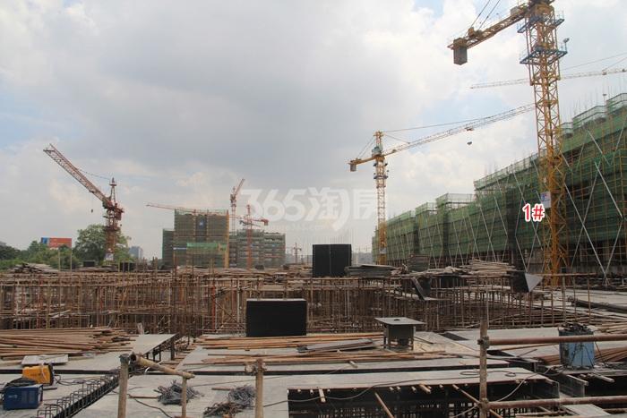 西溪永乐城项目1号楼施工实景图（2015.8）