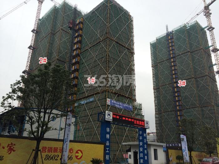 2015年11月雍景湾项目实景--一期1、2、3号楼