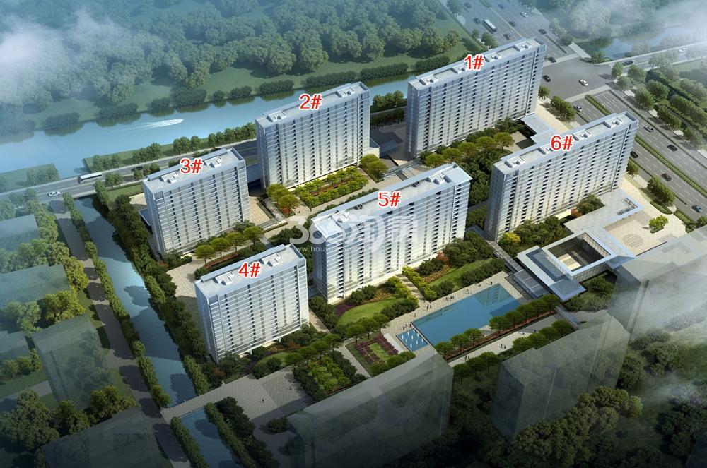 绿城梧桐郡最新动态