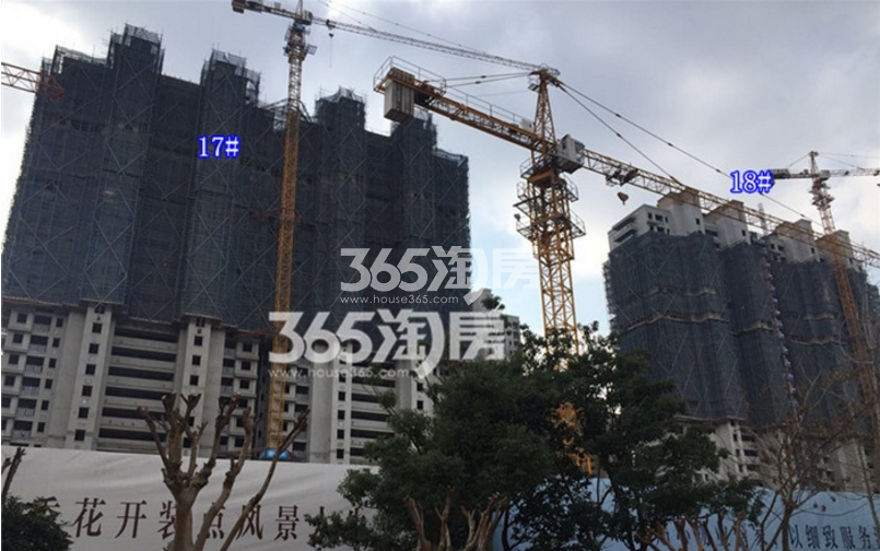 新城香悦澜山在建楼栋实景图（3.10）