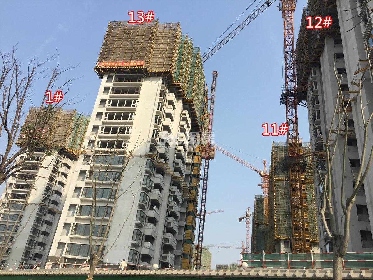 2017年3月广宇万科公园里实景---1、11、12、13号楼
